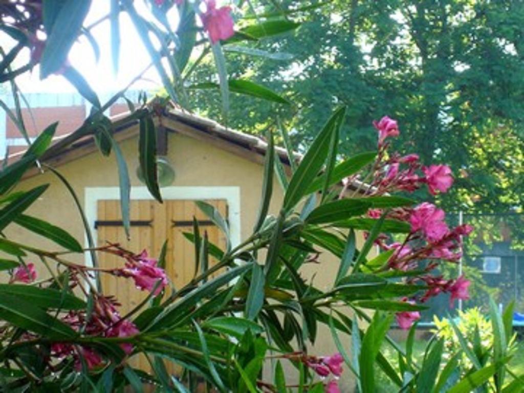 Residence Thibaud ตูลูส ภายนอก รูปภาพ